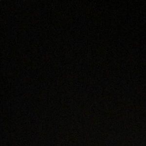 Meet your Posher, Delaney